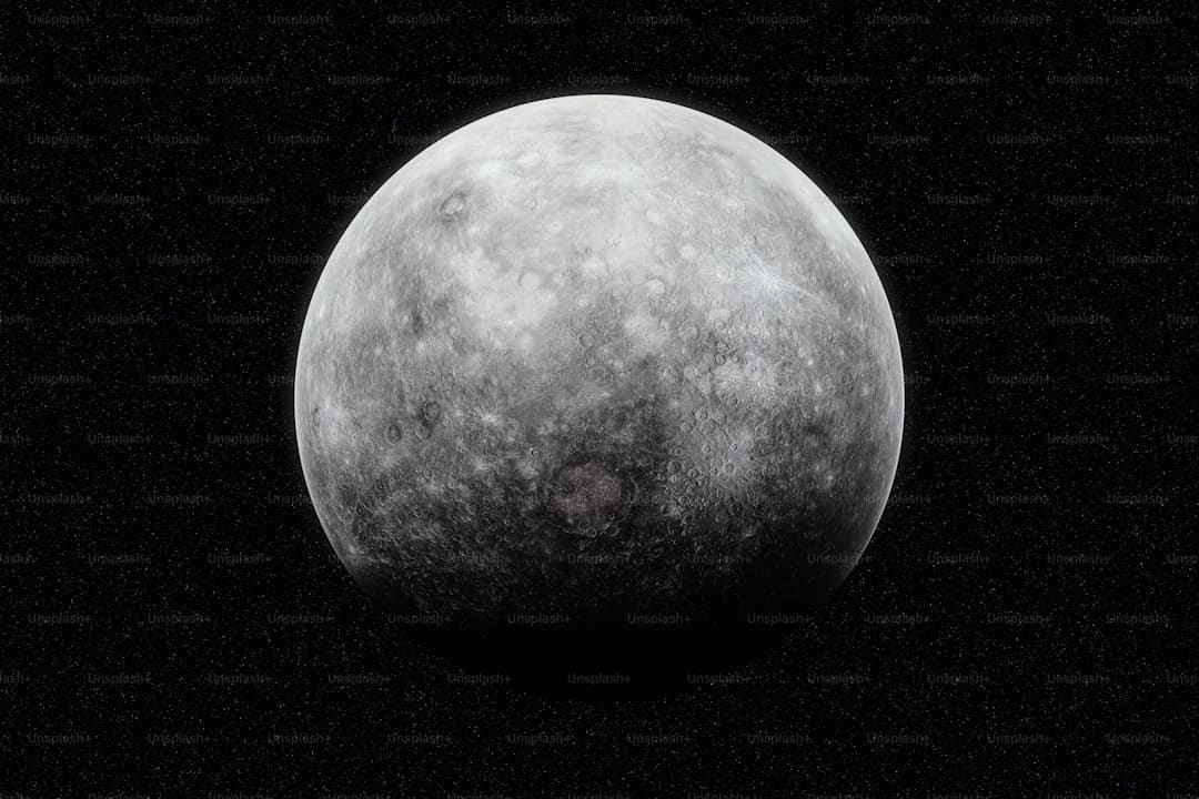 新华角度｜透视“反向春运”热潮